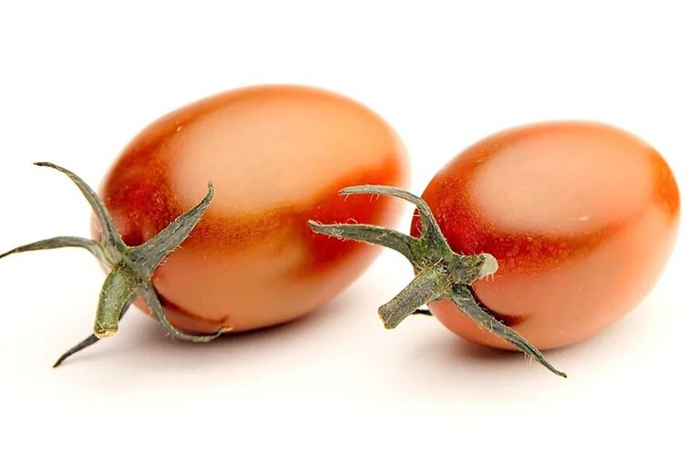Het Israëlische BreedX heeft zoetere rassen tomaten ontwikkeld, zoals de Egg shaped plum-tomaat. - Foto's: BreedX