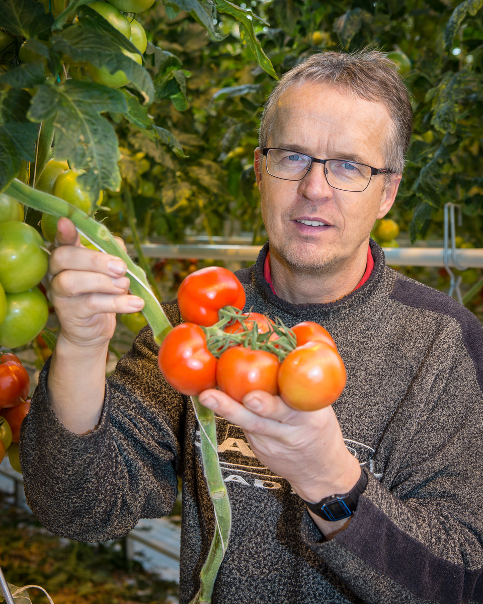 &apos;We houden van dag tot dag de lichtsom nauwkeurig bij&apos;