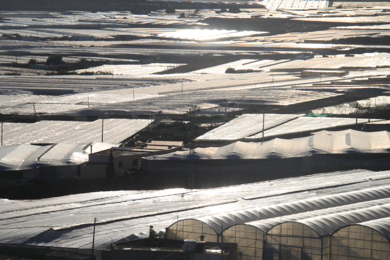 Seizoen Almería: hoge productie, lage prijzen