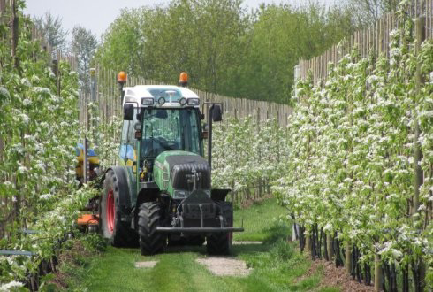 &apos;20 procent fruittelers sneuvelt als boycot aanhoudt&apos;