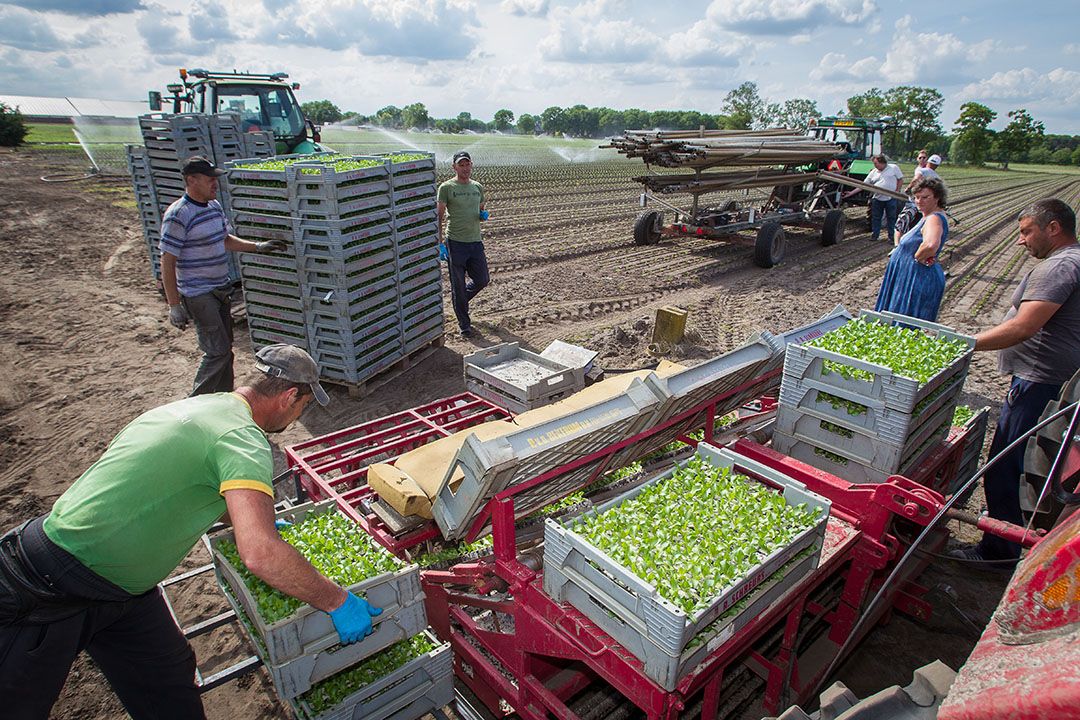 202974 Slateler Frans Nouwens geeft uitleg over de meetresultaten