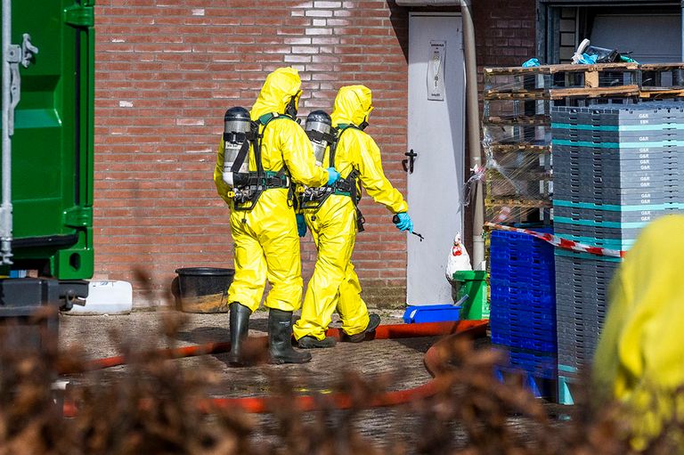 Ruiming bij een besmetting van vogelgriep op een leghennenbedrijf eerder dit jaar. - Foto: Bert Jansen