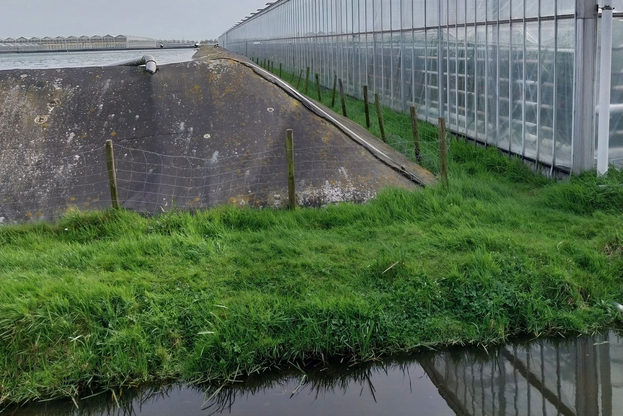 De eisen uit de Kaderrichtlijn Water voor schoon water per 2027 worden in glastuinbouwgebieden nu nog vrijwel nergens gehaald. Foto: Ton van der Scheer