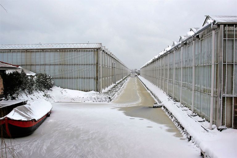 Sector werkt samen met de overheid scenario s uit om de effecten van een eventueel gastekort deze winter te kunnen bepalen. - Foto: Harry Stijger