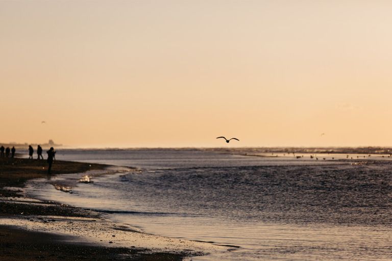 De Noordzee bij Zandvoort. -Foto: Canva