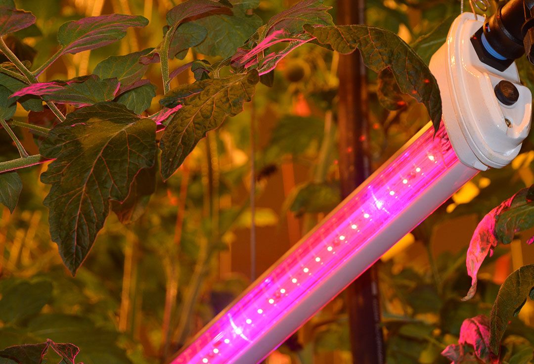 Led vraagt om systeemverandering