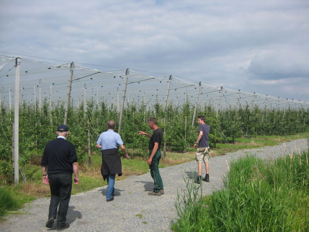 Kanzi-percelen in Duitsland - Foto: Wouter van Teeffelen