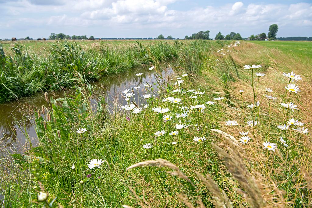 WUR heeft onlangs 6 dilemma’s geformuleerd die de basis zouden kunnen zijn voor het gesprek over de toekomst van de landbouw. Foto: Cor Salverius Fotografie