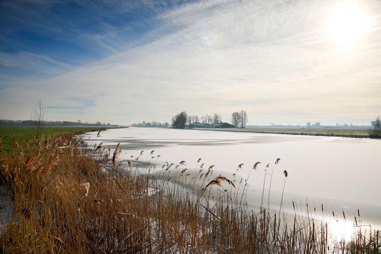 Foto: Ruud Ploeg