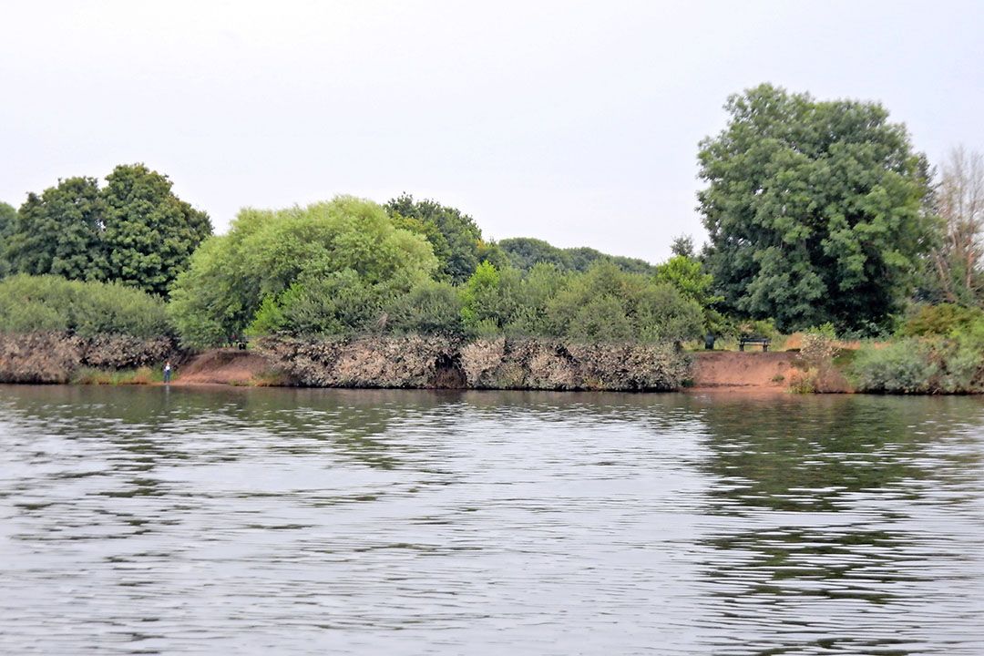 Nu het water van de Maas weer is gedaald, blijft slib achter. Dat is funest voor gewassen. - Foto: Stan Verstegen