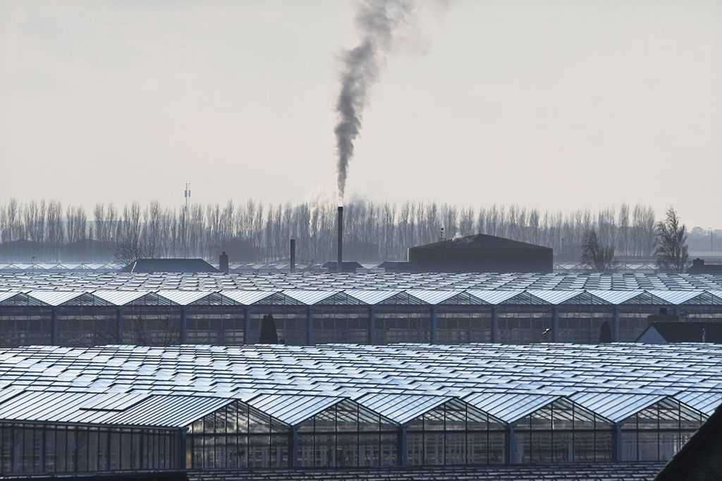 Subsidieregeling warmtenetten moet energietransitie aanjagen in glastuinbouw. Foto: ANP/Hollandse Hoogte