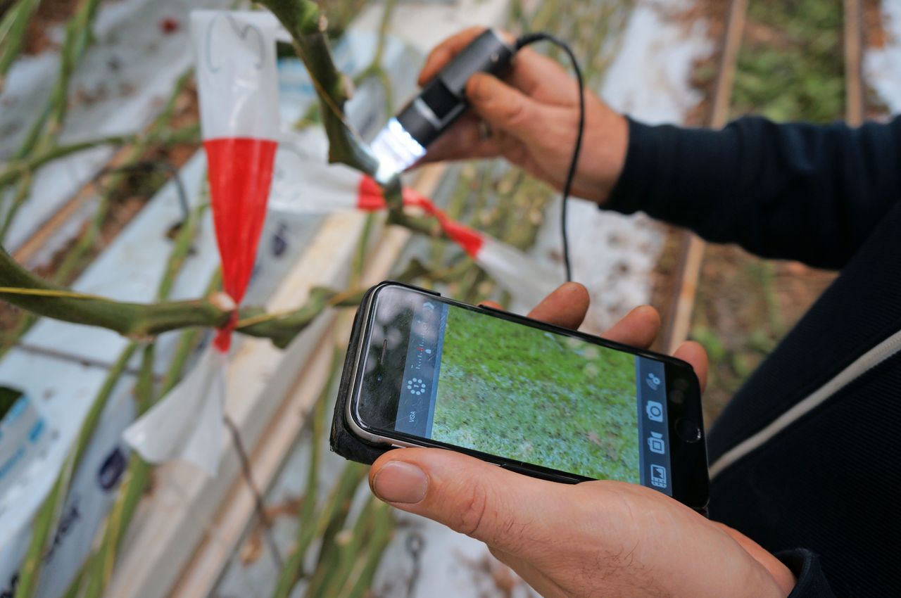 Het digitaal scouten van ziekten en plagen gebeurt al langer, maar is nog lang geen gemeengoed. Foto: Gerard Boonekamp