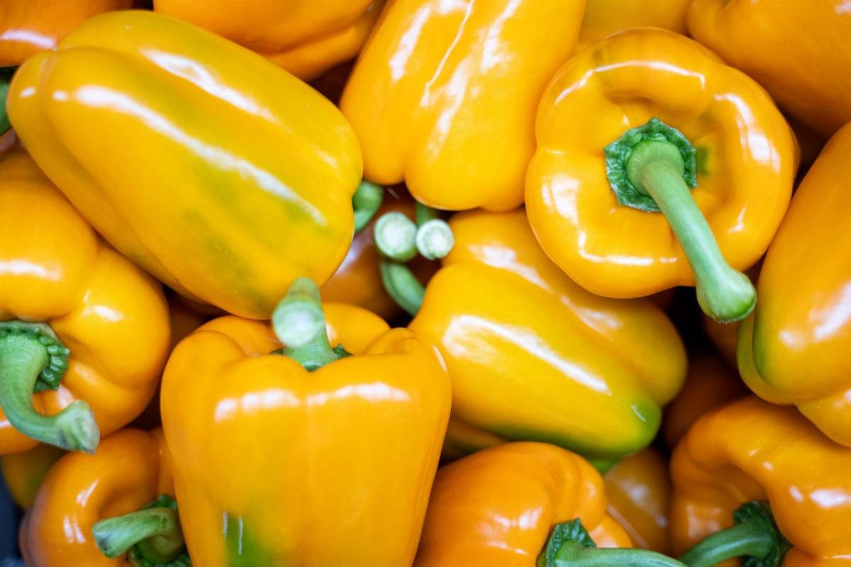 Handelsbedrijf Levarht was niet berekend op verplichte levering van groenten en fruit aan Aldi in Duitsland. Foto: Bram Becks Fotografie