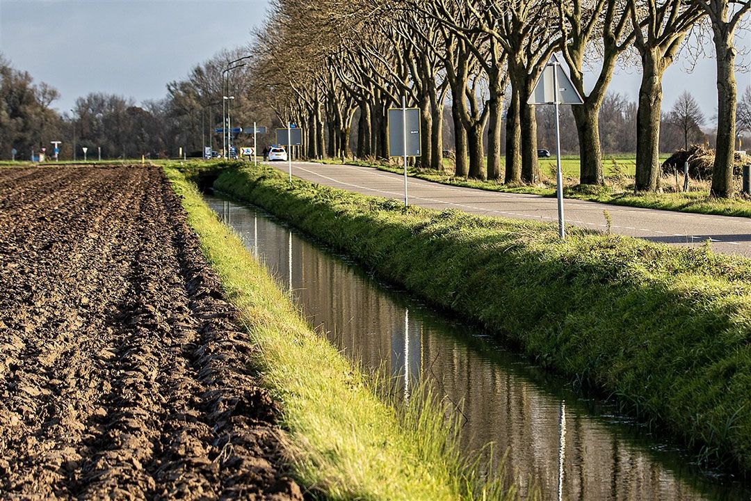 grondwaterstand