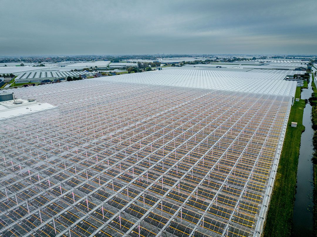 De glastuinbouw kan niet opnieuw een uitzondering krijgen binnen de energiebelasting. - Foto: ANP