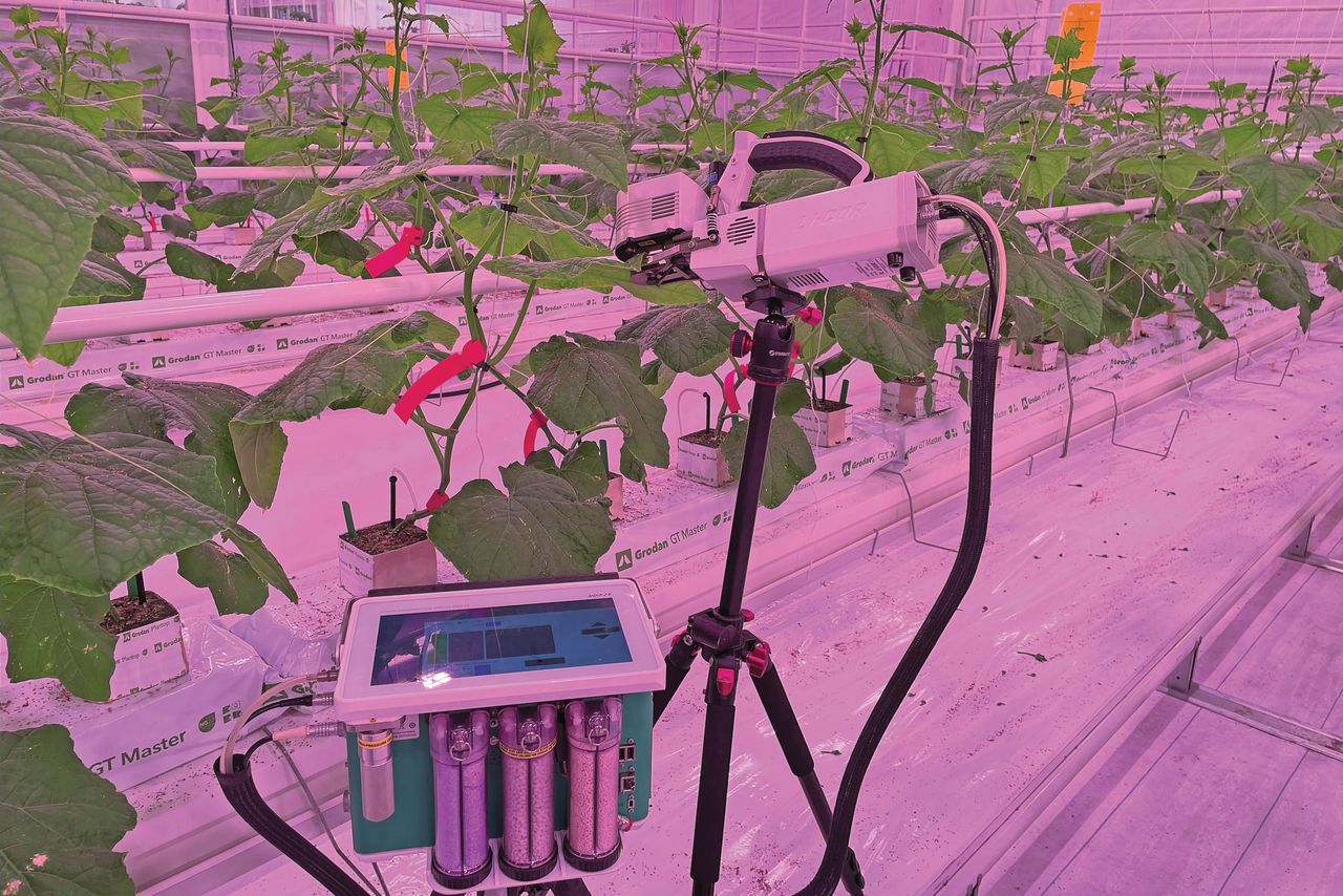 Fotosynthese-metingen geven inzicht in de mate waarin de plant de aangeboden hoeveelheid CO2 weet te benutten. Foto: Plant Lighting