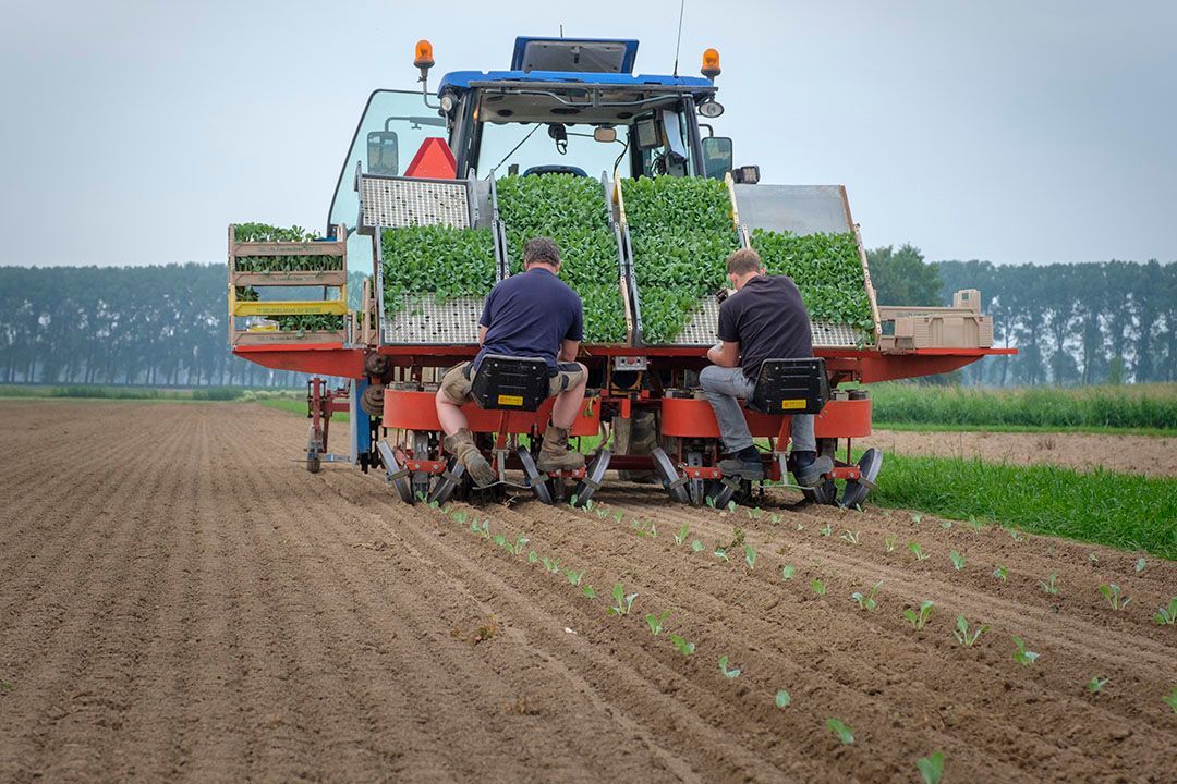 Foto: Roel Dijkstra