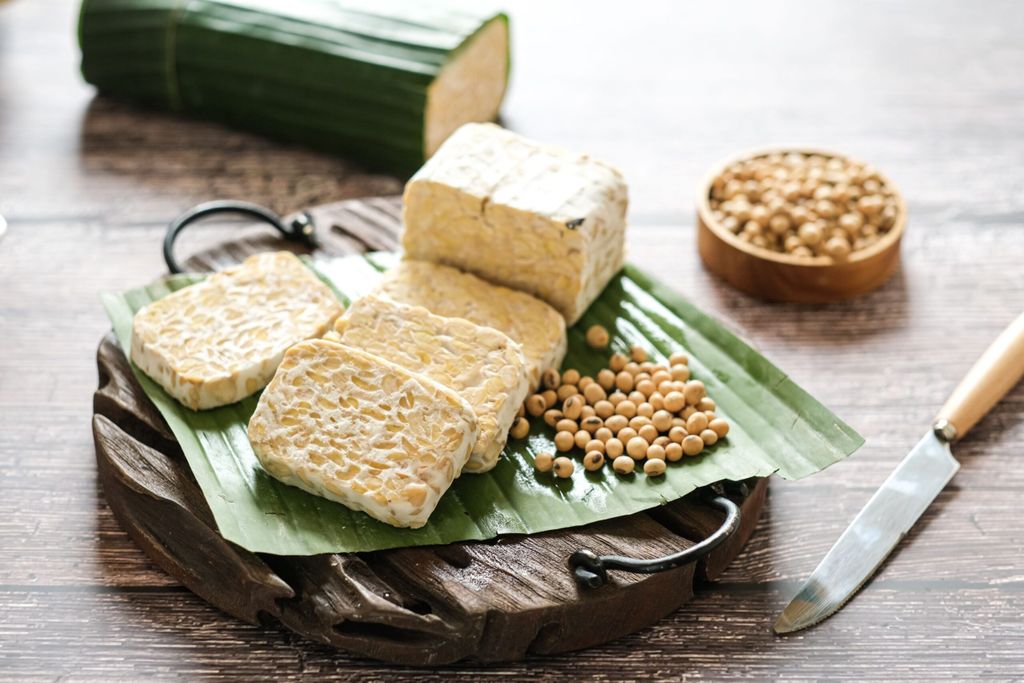 nederlandse tempeh