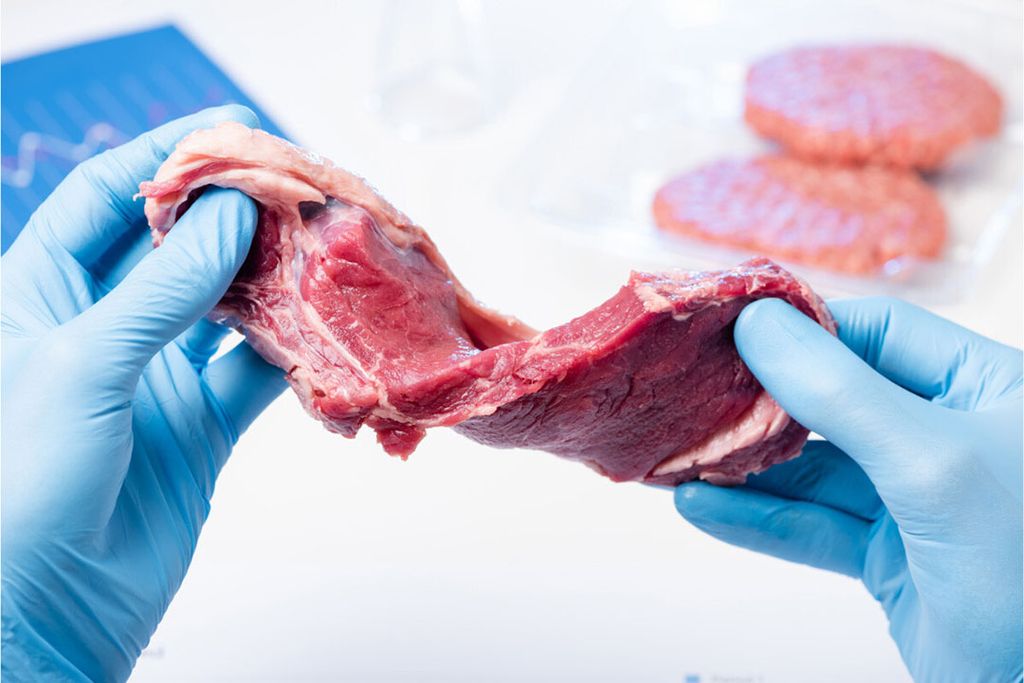 De Britse overheid steekt geld in een innovatiecentrum dat onder andere kweekvlees onderzoekt. - Foto: Canva/nevodka