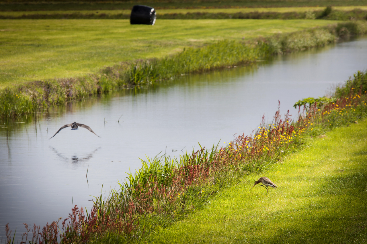 Eerste Kamer stemt in met natuurwet