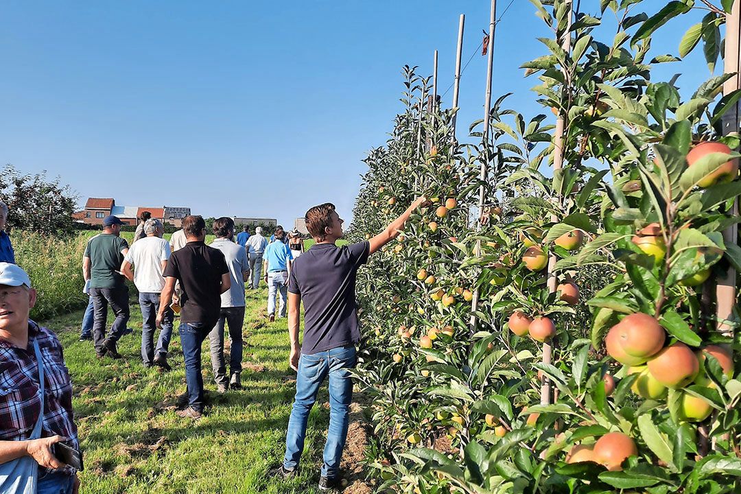 Bezoekers op de Opendeurdag van Proefcentrum Fruitteelt (Pcfruit) in Sint Truiden (B.). - Foto: Wouter van Teeffelen