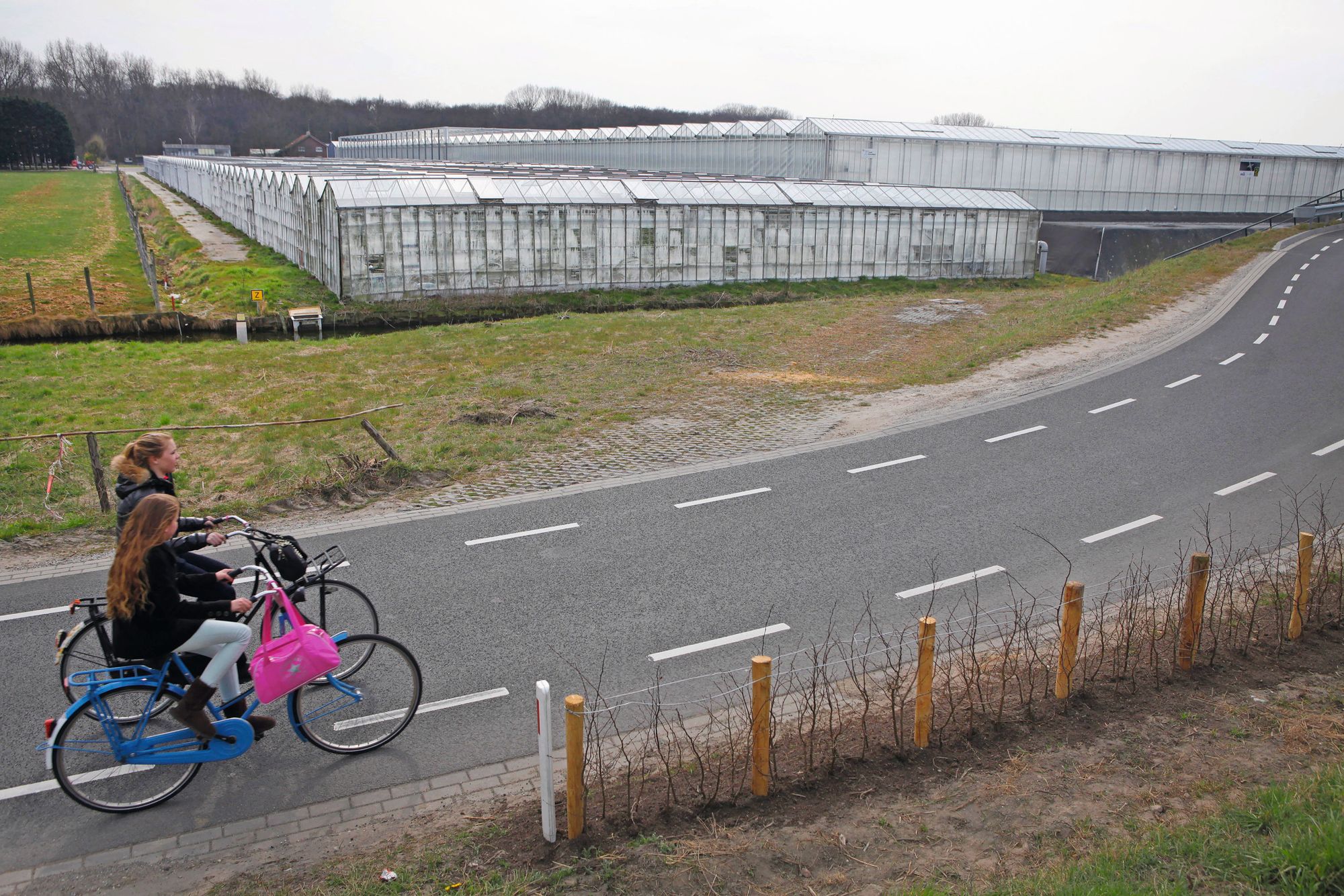 Herstructeringsopgave in Westland is het grootst. Foto's: Roel Dijkstra
