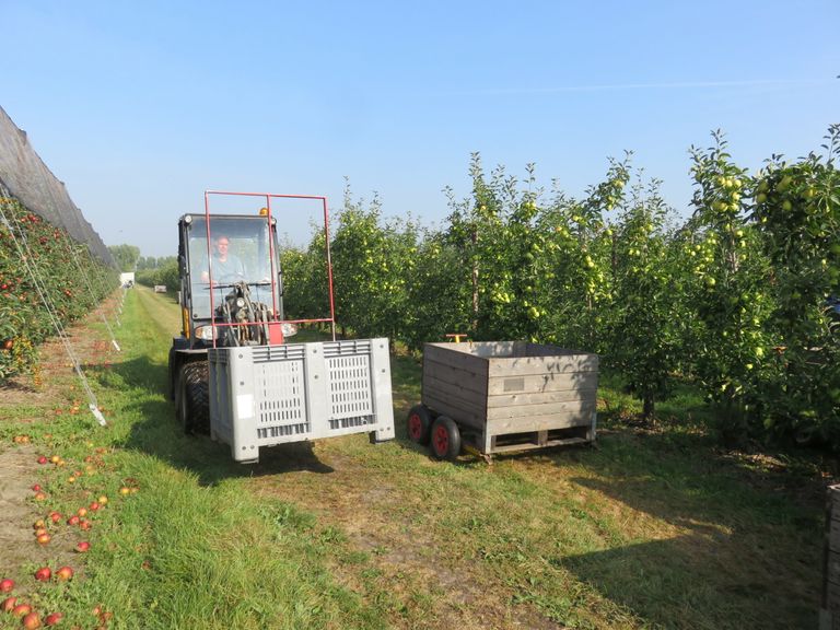 Foto: Groenten en Fruit