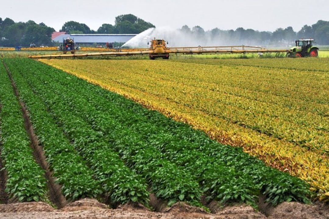 Verloopt je spuitlicentie binnenkort? Bij Spuitlicentie.nl kun je na aanmelding direct aan de slag om je verlengingspunten te behalen. - Foto: Spuitlicentie.nl