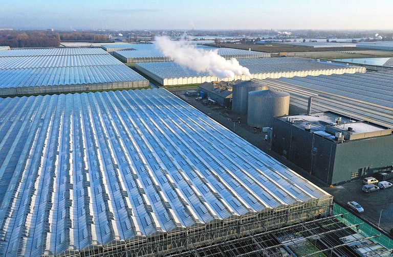In glastuinbouwgebied Next Garden draait naast de laatste gas-wkk's vooral ook een grote biomassacentrale om de winters door te komen.