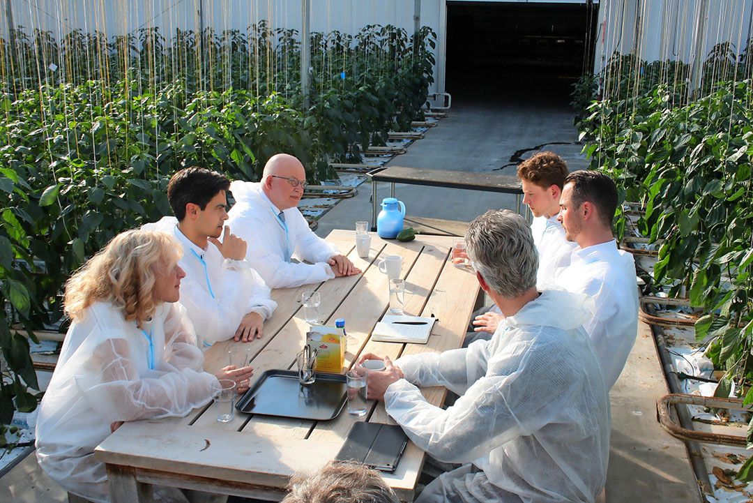 Eerder dit jaar waren ministers Taghouwer (LNV) en Jetten (EZK)  op werkbezoek in de glastuinbouw. - foto: Roger Abbenhuijs