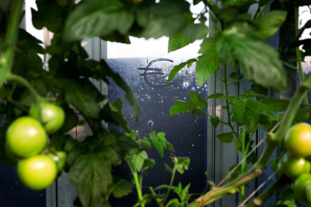 Verzekeraars hoeven tuinders niet te wijzen op de extra risico's van rechtszaken.  - Foto: Joep van der Pal