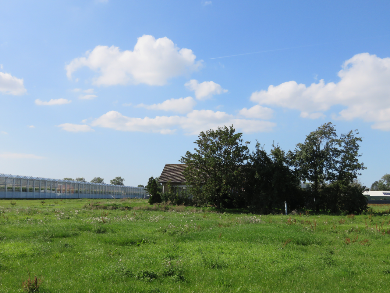 Een oude bedrijfswoning kan in de weg staan van nieuwe kassen.