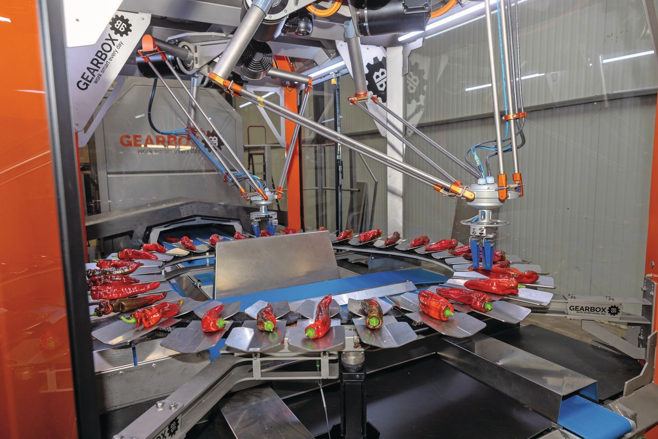 Naast inwichtreductie verwacht Gearbox ook een arbeidsbesparing van 10 fte’s verwacht. Foto: Peter Roek