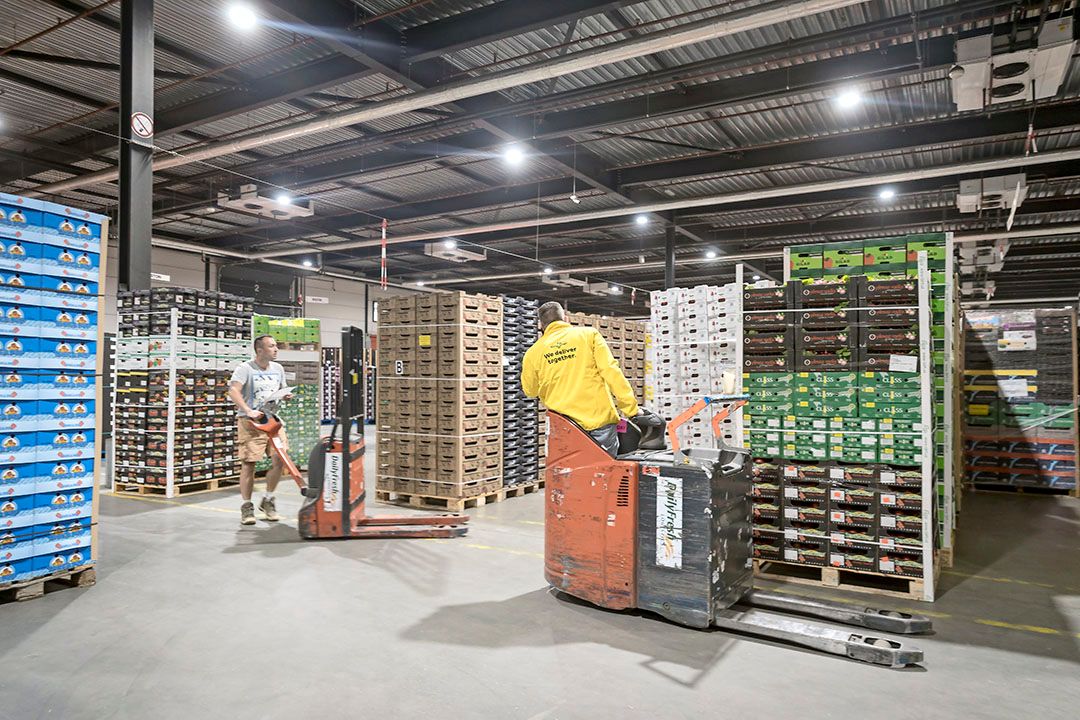 Export groenten en fruit naar Verenigd Koninkrijk lijkt vrijgesteld van strenge maatregelen in jongste Brexit-plannen. Foto: Roel Dijkstra