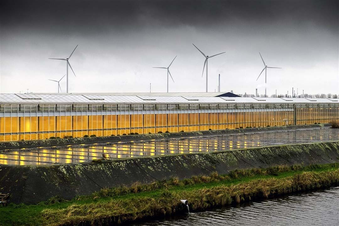 Met het Programma Positionering Glastuinbouw moet de sector meer impact maken op de politieke en publieke opinie. - Foto: ANP