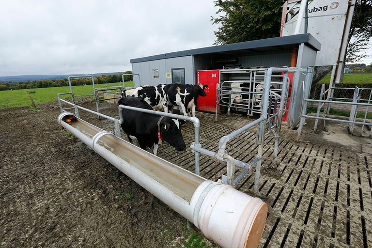 Biologisch melkveebedrijf in Duitsland. - Foto: Henk Riswick