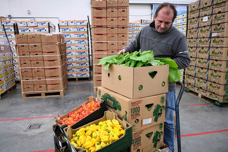 Bel Impex importeert en handelt in exotische groente en fruit. - Foto: Roel Dijkstra Fotografie