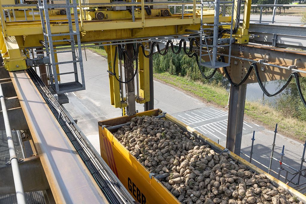 Suikerbieten komen bij de fabriek voor verwerking. - Foto: Peter Roek