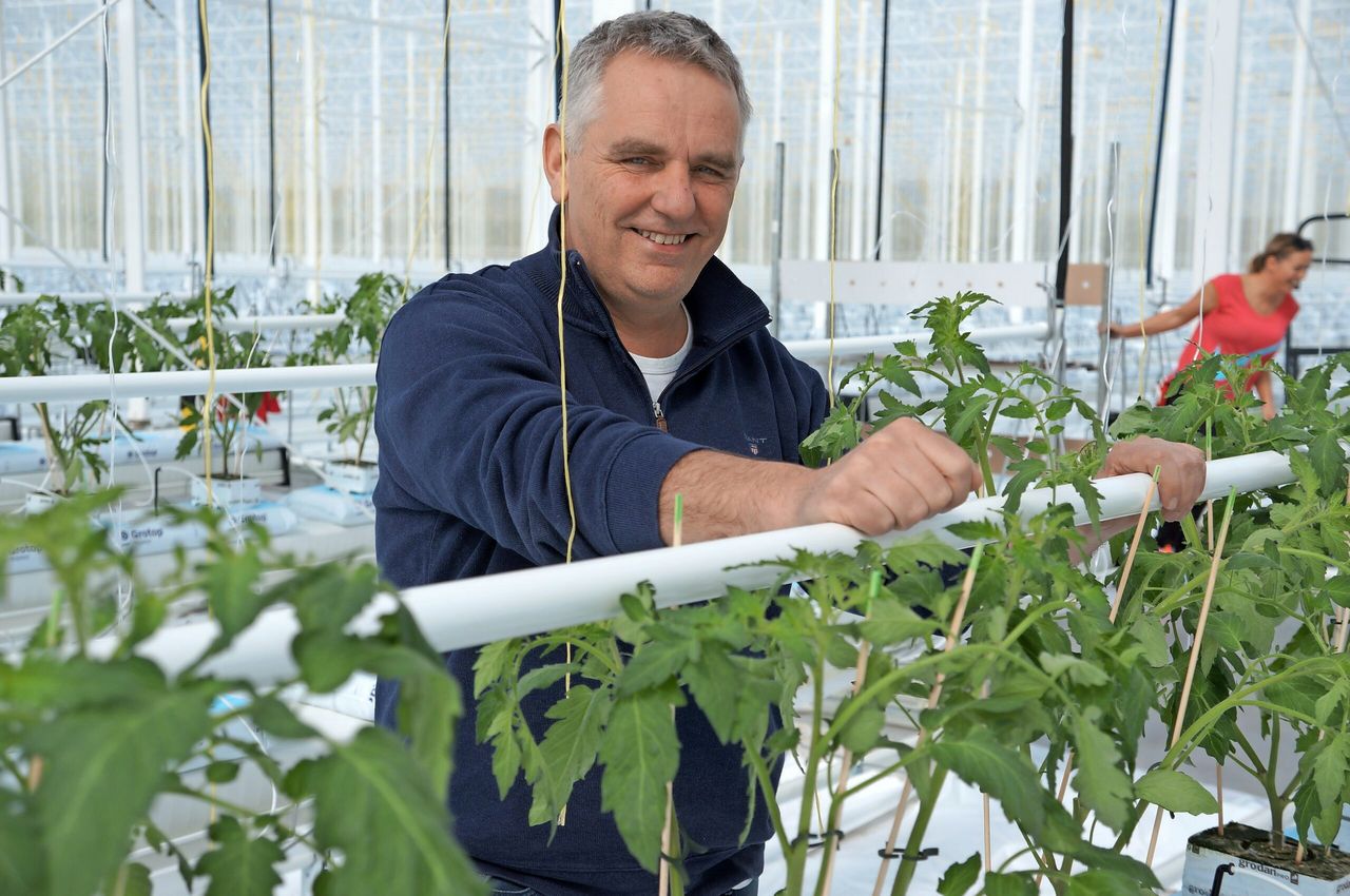 Kwekerij Wim Peters versterkt terug in productie