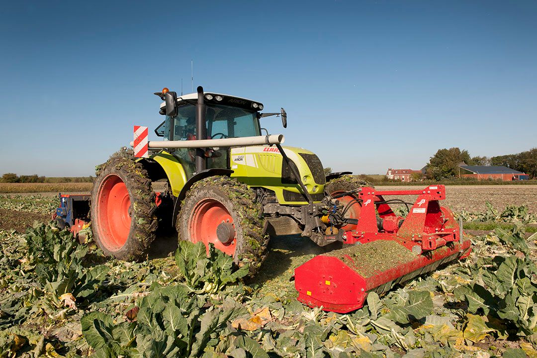 biologische areaal vollegrondsgroenten