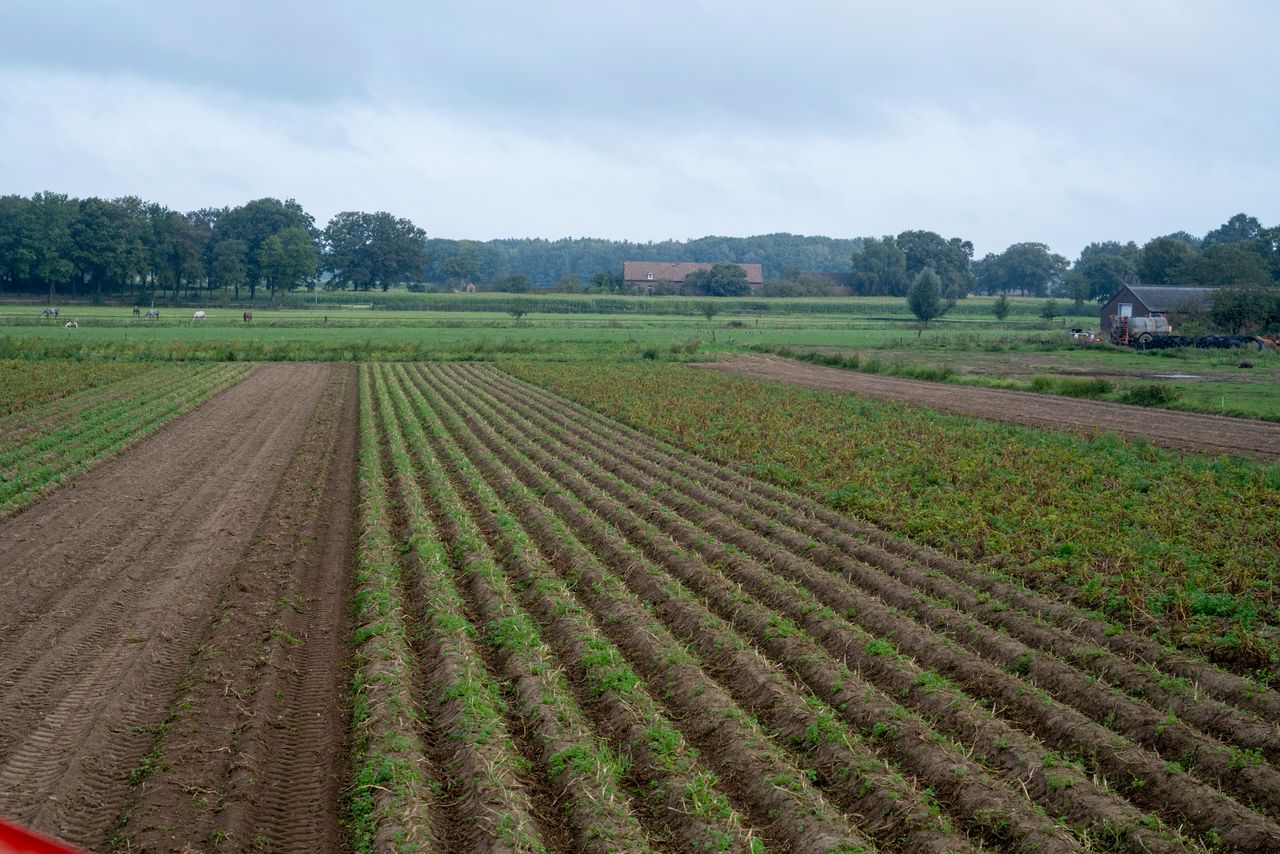 ‘Misschien worden straks Natura 2000-gebieden weer wel omgeploegd om aardappels op te telen’. Foto: Bram Becks Fotografie