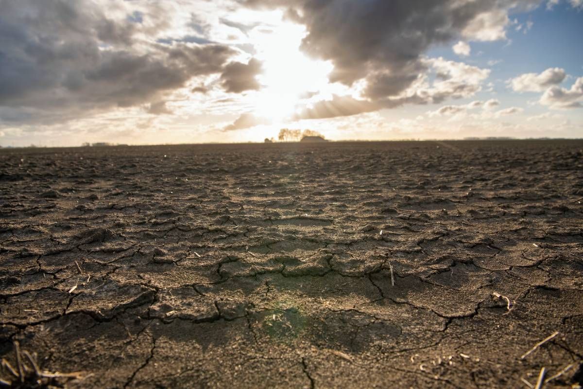 PFAS in bestrijdingsmiddel op landbouwgrond