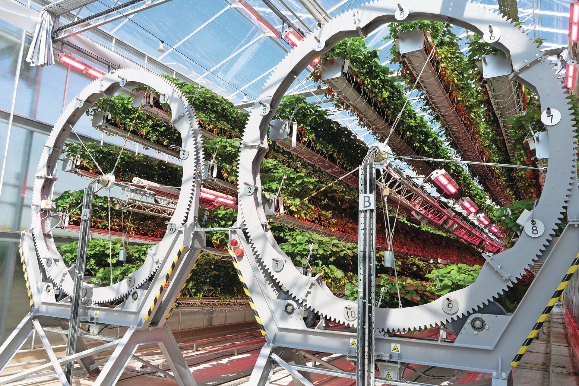 Foto: Dyson Farming