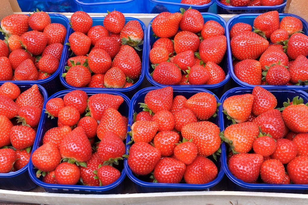 In Nederland werden overschrijdingen gevonden van gewasbeschermingsmiddelen in onder meer een monster van aardbeien. - Foto: Paul Dijkstra