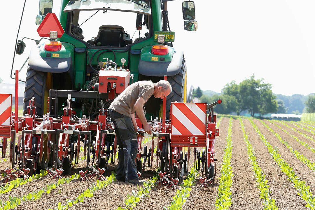 Het verstellen van schoffelelementen is nu vooral handwerk. Lemken zet daarin nu de volgende stap: breder en slimmer schoffelen.