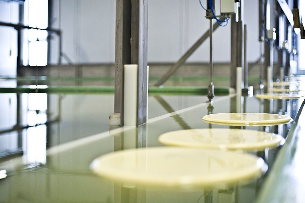 wei-eiwit is een bijproduct die ontstaat bij de productie van kaas. Foto: Bel Leerdammer