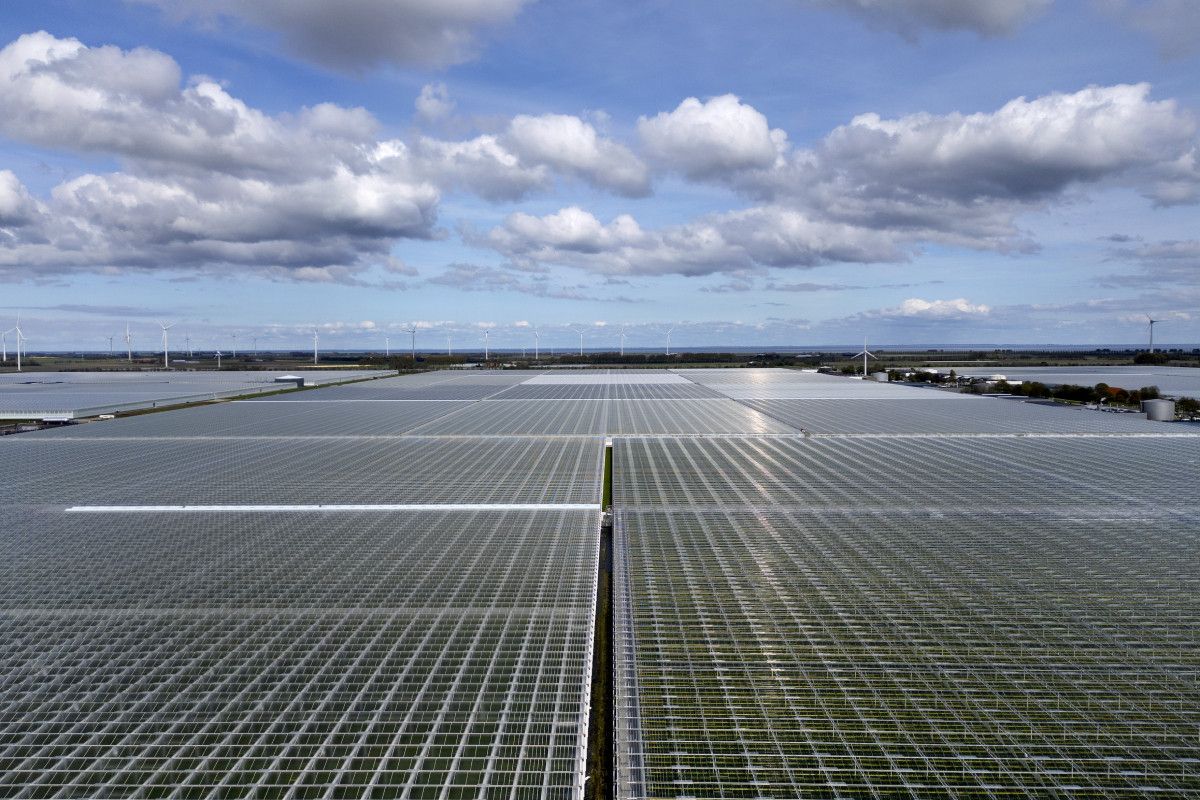 De onderzoekers van Berenschot en Kalavasta hebben ook gekeken naar mogelijke nieuwe maatregelen die op de glastuinbouw afkomen. Foto: ANP/HollandseHoogte/OlafKraak