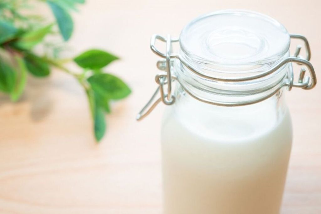 De melk zou dezelfde smaak en textuur hebben als koemelk en ook dezelfde voedingswaarde. Foto: Canva
