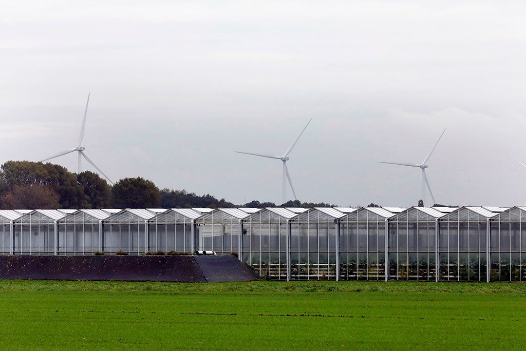 Kassen en windmolens achter Brielle. - Foto: Roel Dijkstra