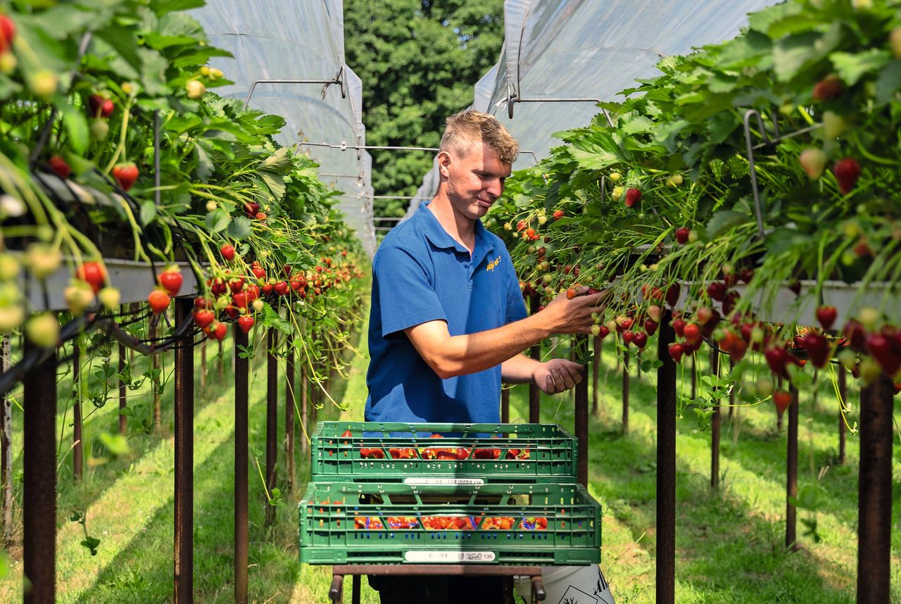 Thijs Jeuken in actie. Foto: Bram Becks